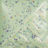 SW- 221 Mint Speck (Pint)