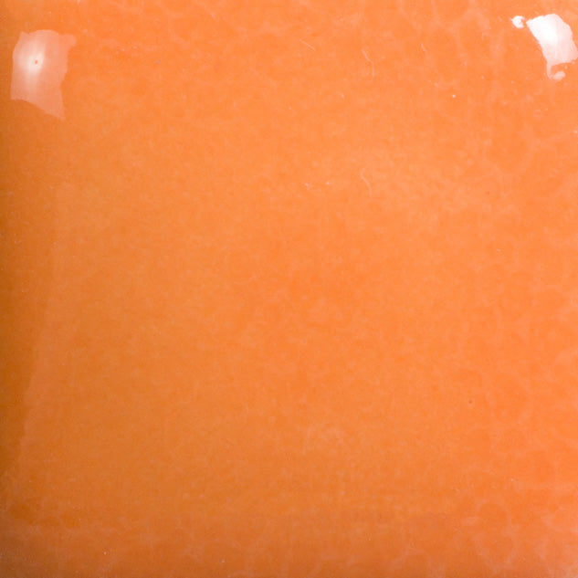 FN-040 Pumpkin (4 OZ)
