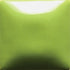FN-054 Pistachio (4 OZ)