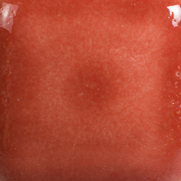 FN-015 Brick Red (4 OZ)