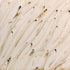 PCF-74 River Birch