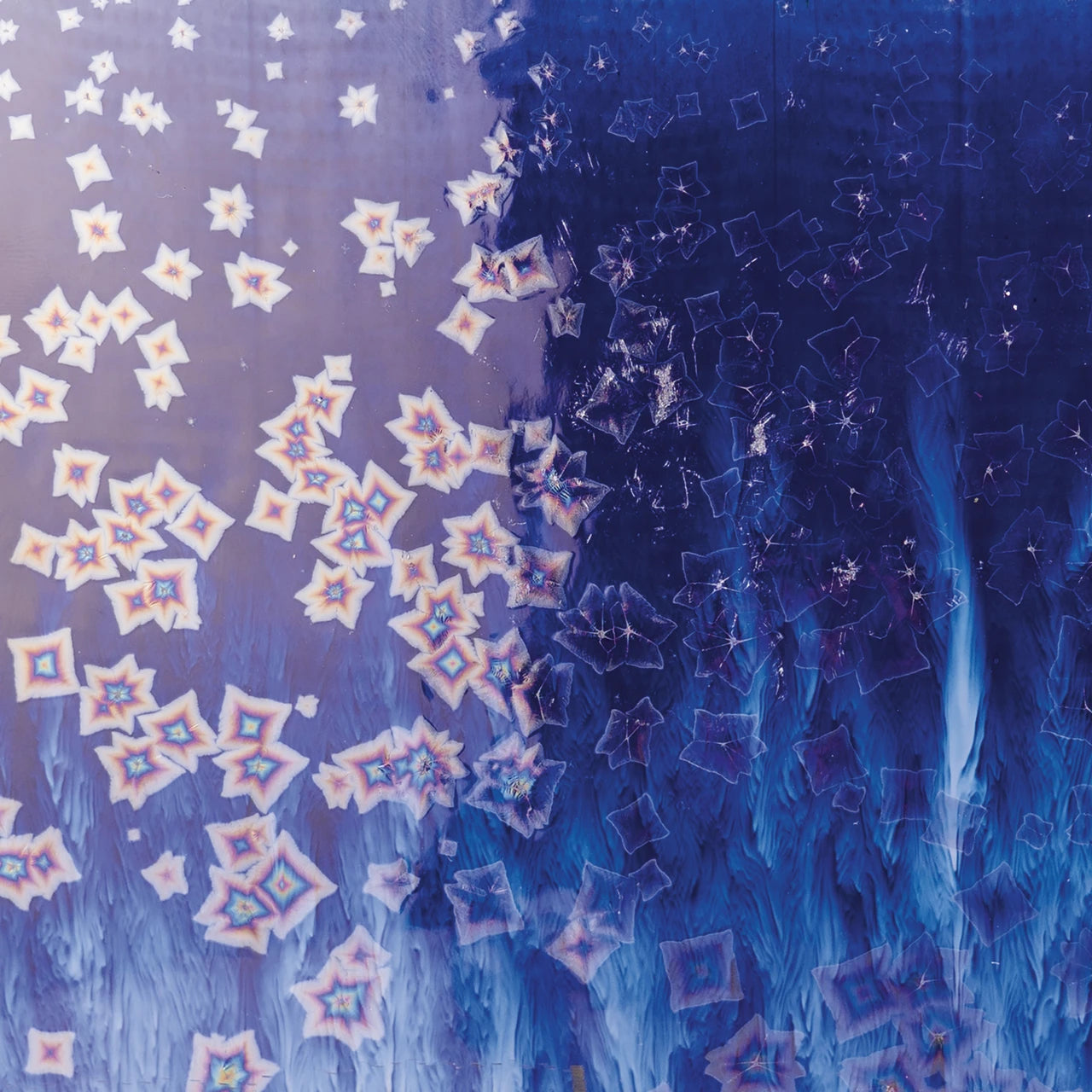 CO-24 Blue Starlight (Pint)