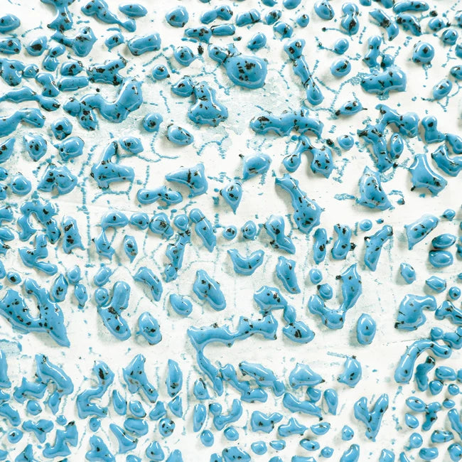 CR-22 Speckled Teal (Pint)