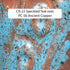 CR-22 Speckled Teal (Pint)