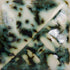 SW- 222 Green Jasper  (Pint)