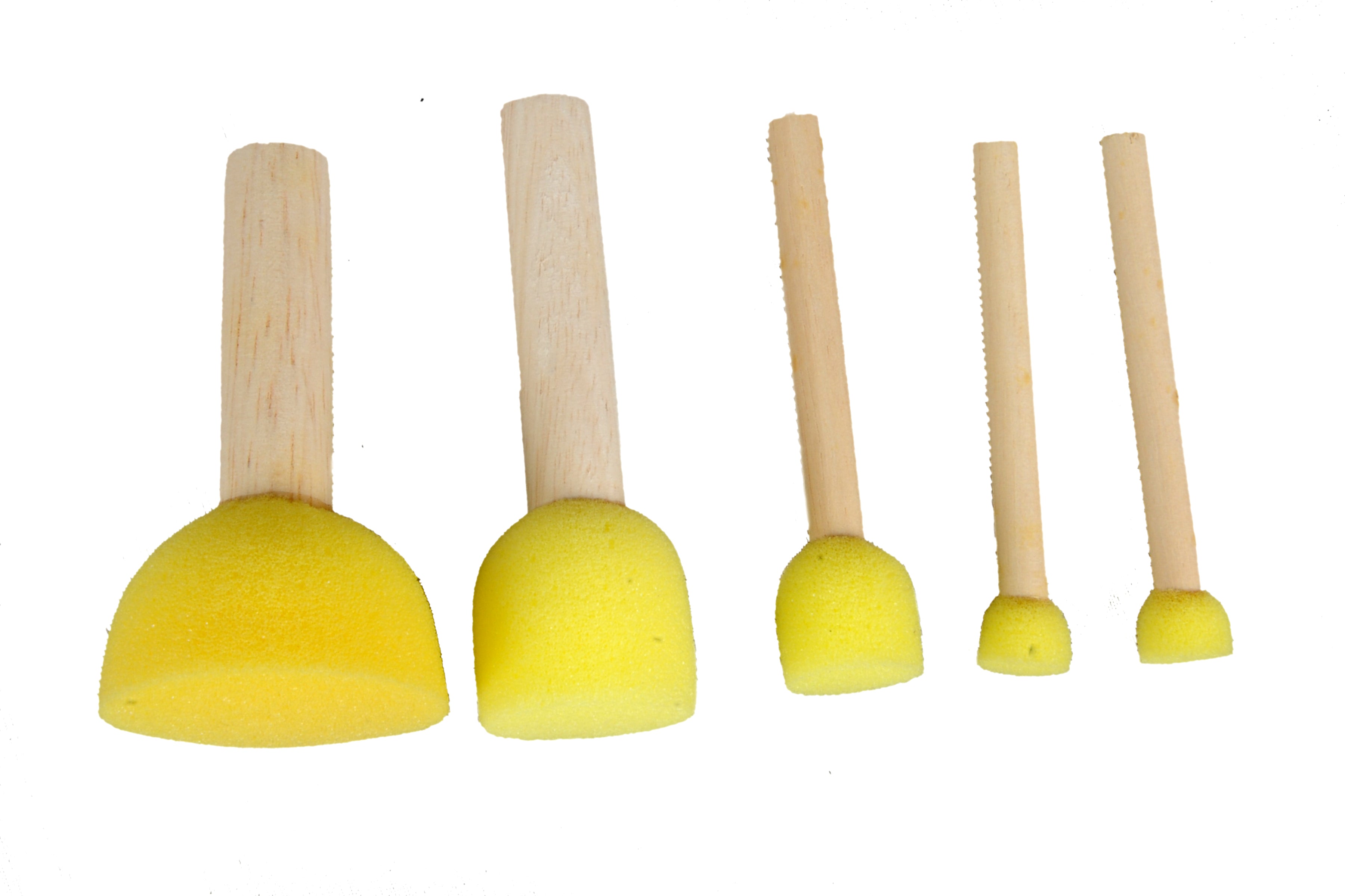 Sponge on a stick - set